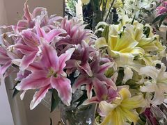 -长春青怡坊鲜花批发(青怡坊花鸟市场店)
