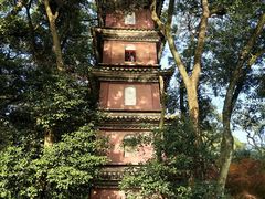 -阿育王寺