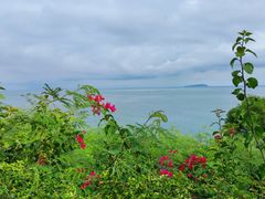 -涠洲岛火山国家地质公园
