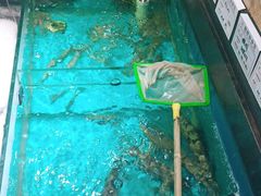 -中苑海韵