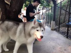 -TrueLove @ Neverland (Husky Cafe)
