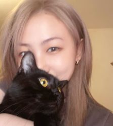 -蚂蚁造型俱乐部