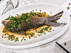 -常胜鲍鱼(吉大店)