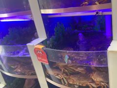 -七欣天香辣蟹火锅(扬州望月路店)