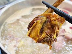 -鸽鸟轩(石岐店)