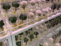 -KKV(深圳宏发大仟里店)