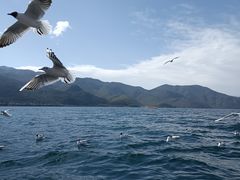 -丽江泸沽湖景区