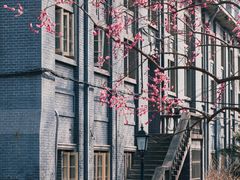 -东南大学(四牌楼校区)
