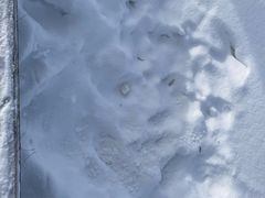 -长白山华美胜地滑雪场