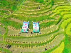 -大围山国家森林公园