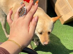 -Cactus墨西哥仙人掌餐厅