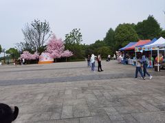 -苏州太湖国家湿地公园