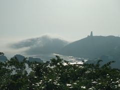 -枸杞岛
