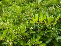 -杭州植物园