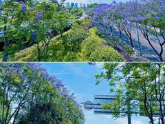 -金海湾滨江公园