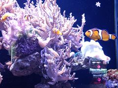 -南昌海洋公园