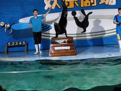 -南昌海洋公园