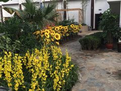 -天源吉布世温泉水乐园