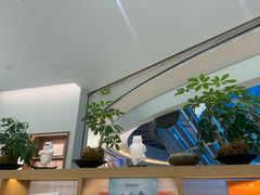 -长风拨筋养身(金虹桥店)
