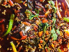 -小饕荟雅安贡椒鱼鲜馆(广福桥店)