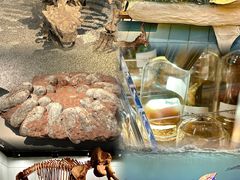 -浙江自然博物院(杭州馆)