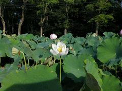 -韶山毛泽东同志故居