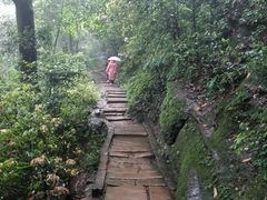 -青城山