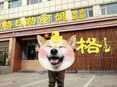 -格日勒阿妈蒙古厨房(新华广场店)