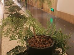 -玖合素手·轻养足浴SPA(云纺大悦城店)
