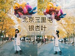 -三里屯东五街银杏大道