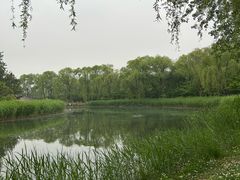 -大兴滨河森林公园