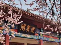 -桃花堤公园