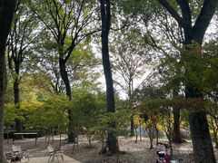 -上海鲜花港