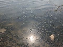 -绿堤公园