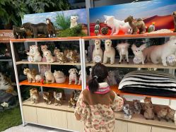 -IMON·HANSA潮玩玩偶毛绒玩具(通州万象汇店)