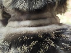 -纳吉亚猫专科动物诊疗中心(蒋宅口分院)