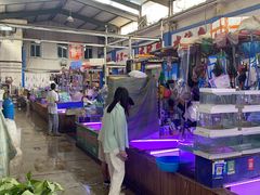 -山东柏宁水族批发广场