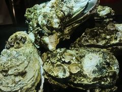 -黄师傅湿辣牛肉(胡桃里店)