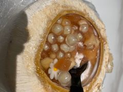 -椰不二(江北大洋百货店)