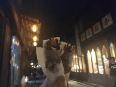 -舌尖葱包烩