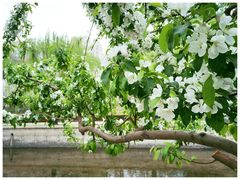 -元大都城垣遗址公园