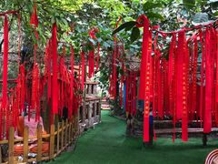 -呀路古热带植物园