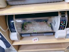 -谐和益家动物医院·免疫绝育·血液透析·宠保定点医院(高新伊藤分院)