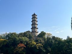 -江心屿景区