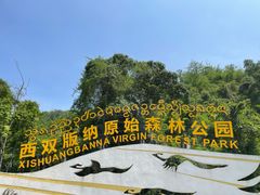 -西双版纳原始森林公园