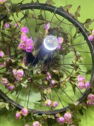 -变美丽半永久纹眉连锁·机器野生眉•洗眉