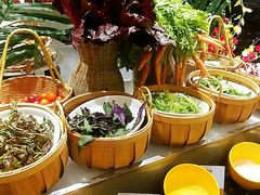 沙拉-东方红海鲜百汇(国际大厦店)