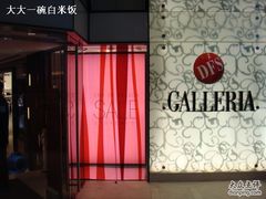 -DFS迪斐世(香港广东道店)
