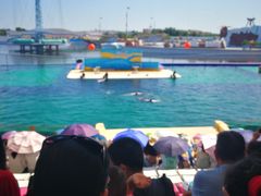 -秦皇岛乐岛海洋王国