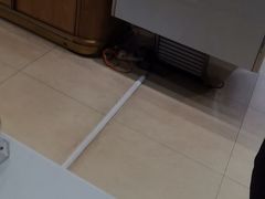 -皇后西斯汀(千姿汇店)